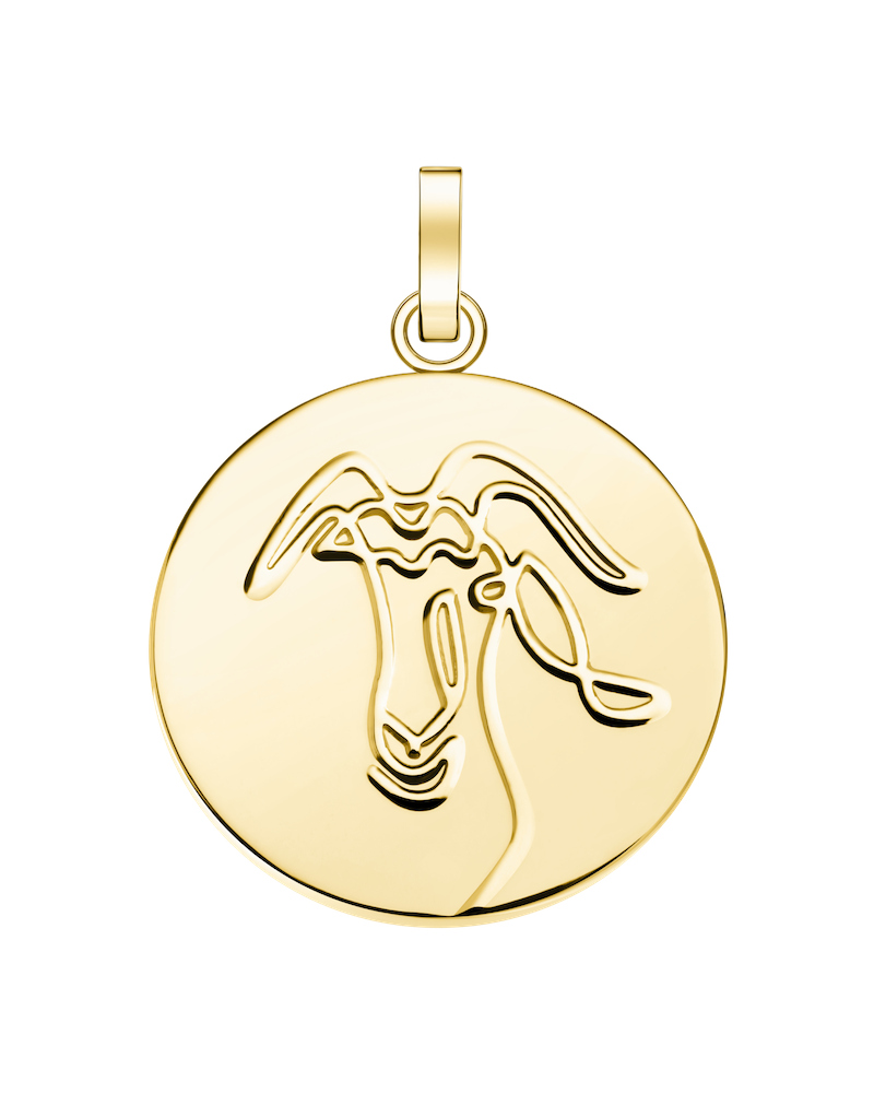 Rosefield Pendant Gold Zodiac Coin Capricorn
