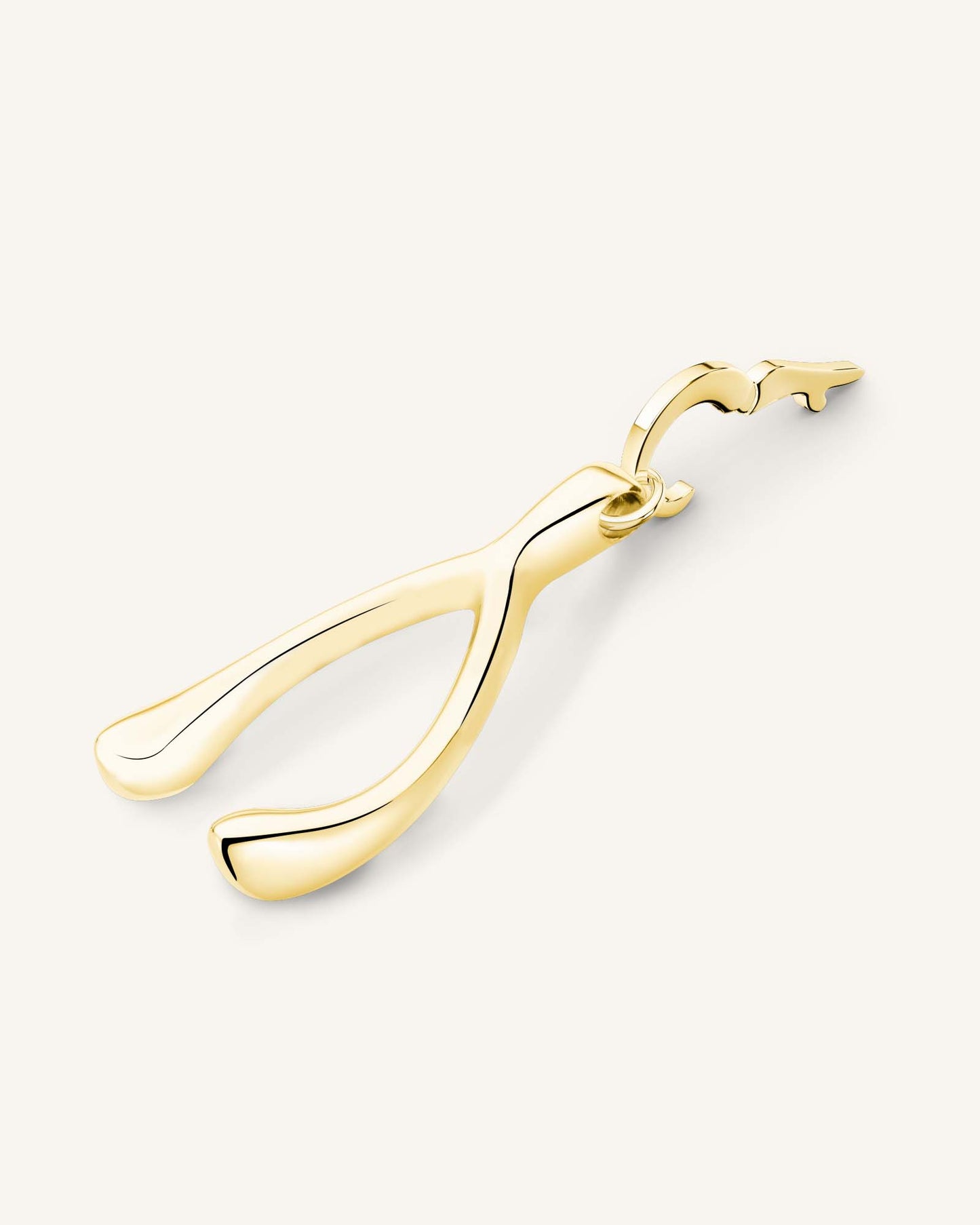 Rosefield Pendant Gold Symbol Wishbone